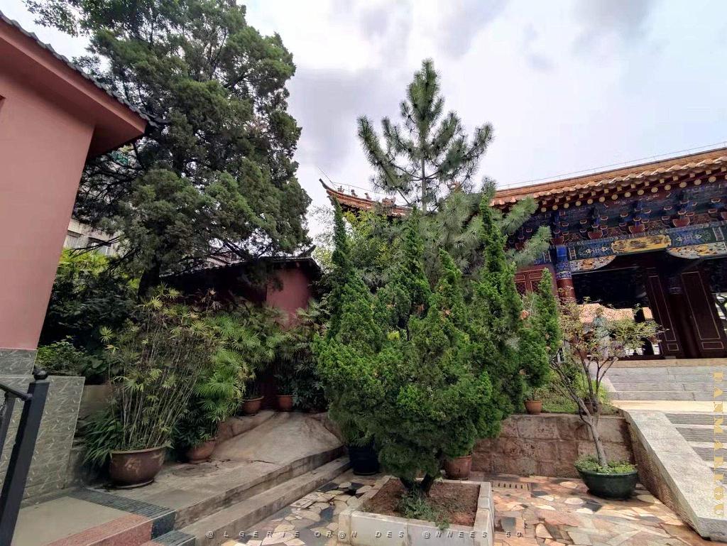 Kunming - En Ville - 05.jpg